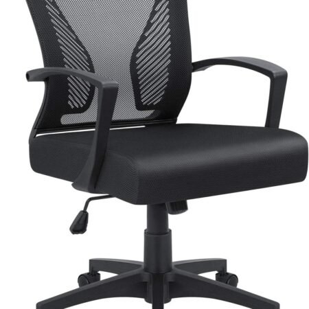 Office Chair Mid Back Swivel Lumbar Support Desk Chair, Computer Ergonomic Mesh Chair with Armrest (Black)